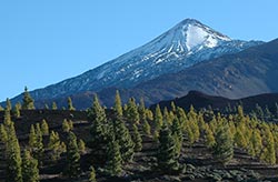 Teide